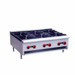 6 Burner Gas RY-RB-6